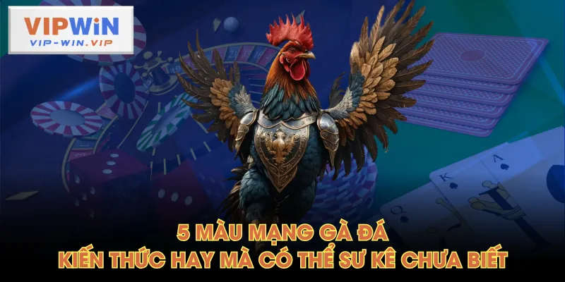 Màu mạng gà đá