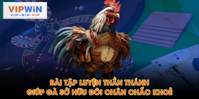 Bài tập luyện thần thánh giúp gà sở hữu đôi chân chắc khoẻ