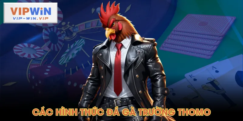Các hình thức đá gà trường Thomo