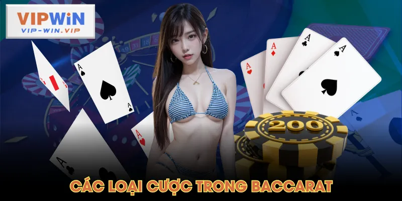 Các loại cược trong Baccarat