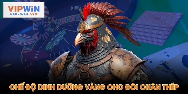 Chế độ dinh dưỡng vàng cho đôi chân thép