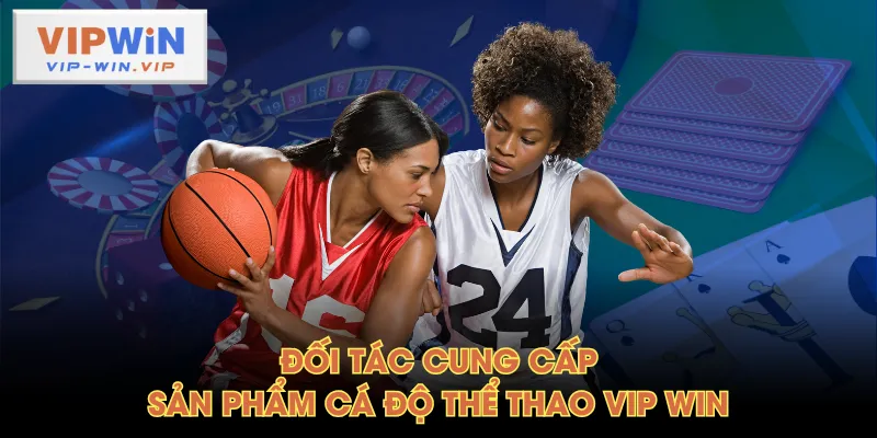 Đối tác cung cấp sản phẩm cá độ thể thao VIP WIN