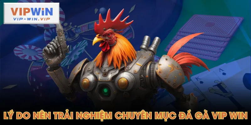Lý do nên trải nghiệm chuyên mục Đá Gà VIP WIN