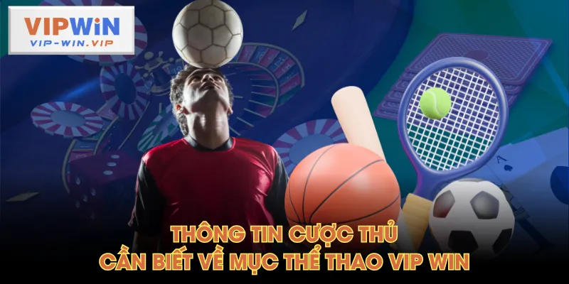 Thông tin cược thủ cần biết về mục thể thao VIP WIN