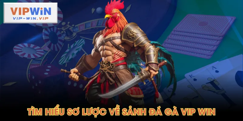 Tìm hiểu sơ lược về sảnh Đá Gà VIP WIN